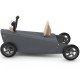 Porteur + draisienne bébé quad en bois made in France