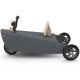 Porteur + draisienne bébé quad en bois made in France